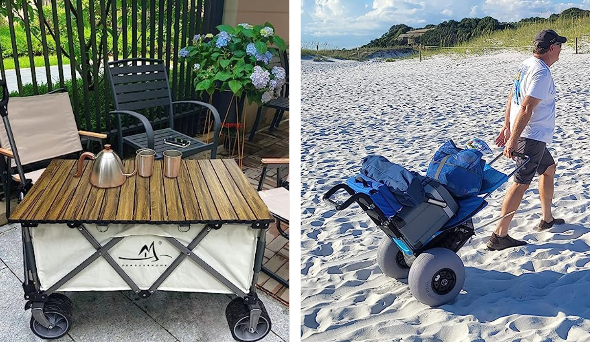 Best beach wagons and beach carts.